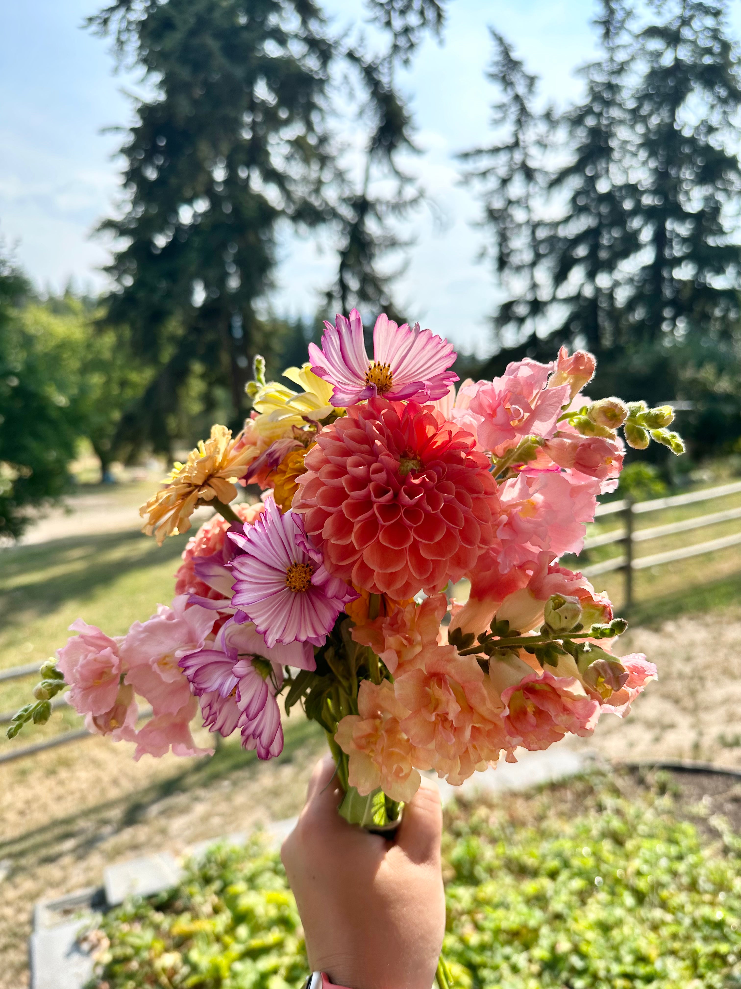 Bouquet of colorful flowers held in front of a natural background with trees and grass.