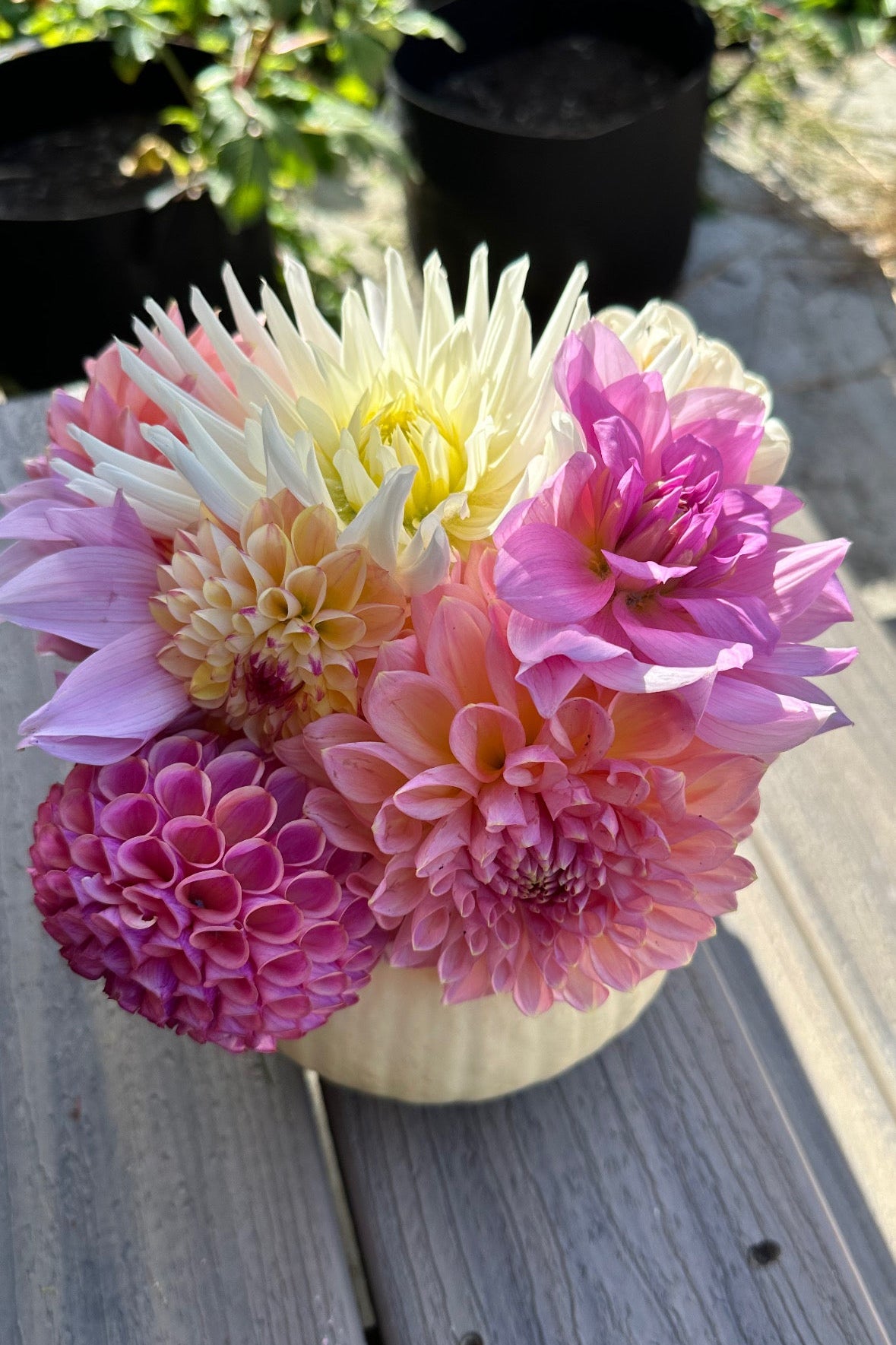 Bouquet of pink, white, and yellow flowers in a white vase on a wooden surface.